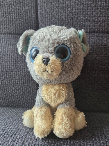 Glubschi hund circa - -,