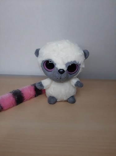 Weißer lemur mit - lemur,