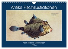 Antike Fischillustrationen nach Marcus Elieser Bloch (Wandkalender 2026 DIN A4 q