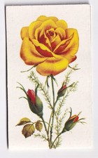 DDR NADELMAPPE Rose 20 Teile