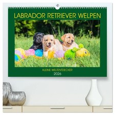 Sigrid Starick | Labrador Retriever Welpen - Kleine Weltentdecker...