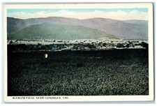 1920 Scenic View Alfalfa Field