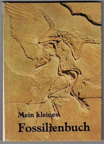 Mein kleines fossilienbuch - mein,