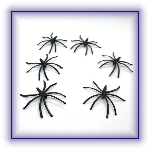 Stück spinne spinnen - stück,