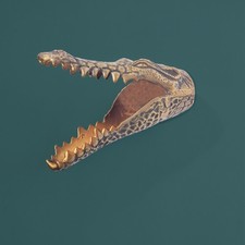 Wanddekoration Krokodil