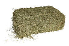 agrar-Store Heu 7Kg Heuballen Wiesenheu Kaninchenheu Meerschweinchenheu