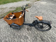 Babboe Curve Mountain Elektrofahrrad unisex Lastenrad 4-Sitzer