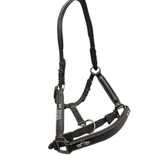 HV Polo Lederhalfter Dyvino schwarz Cob