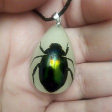 Grün schillernder Skarabäus