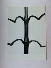 Alte AK Künstlkerkarte Karl Blossfeldt [Z933]