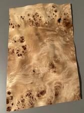 1x PAPPEL MASER WURZEL FURNIER Modellbau Intarsien Drechseln Design Edelholz Tür