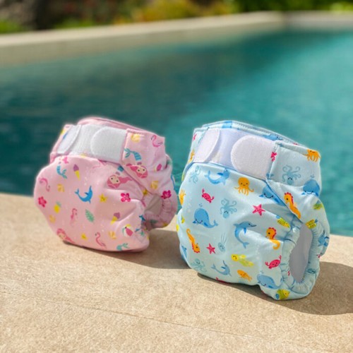 Freds swim academy - freds,