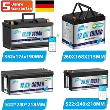 Lithium Batterie 300Ah 12V