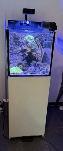 Meerwasseraquarium red sea - meerwasseraquarium,