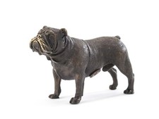Bronze Bulldogge Hund Dogge