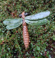 große Libelle grün