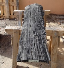 Mooreiche Moorholz 4000 Jh. Altholz Bohlen Brett Platte Epoxidharz,154x46/28x9/3