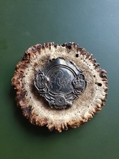 Große hirschrose silber - hirschrose,