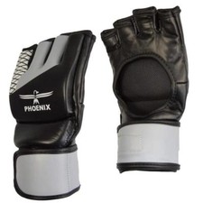 MMA Boxhandschuhe Boxsack