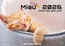Miau Kids Kalender 2026 DIN A3