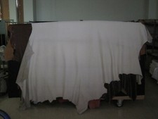 1 Lederhaut, Rindnappaleder