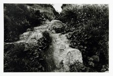 Fotografie in der DDR. Vintage