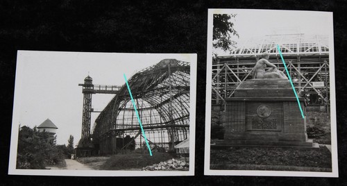 Botanischer garten berlin - botanischer,