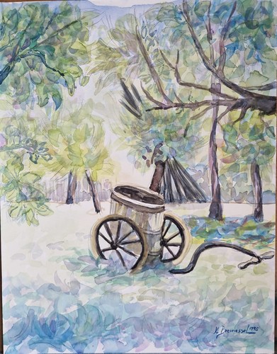 Aquarellbild gebraucht 41 - gebraucht,