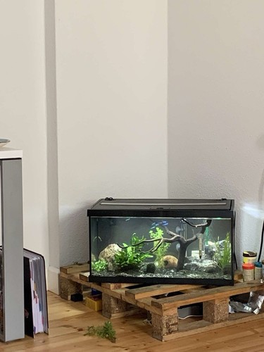 Eheim aquarium und - aquarium, zubehör