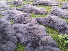 Echte Öko Schaffelle Lammfell Schaffell Fell Grau Bis 140cm 2.Wahl Schnäppchen