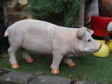 Schwein Ferkel Deko Figur lebensecht 65cm wetterfest Gartenfigur NEU