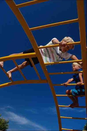 769076 jungle gym fotodruck - jungle,