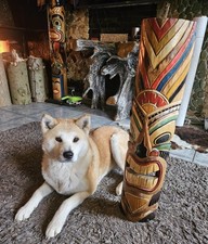 Maske Tiki Wanddeko Maori Tiki