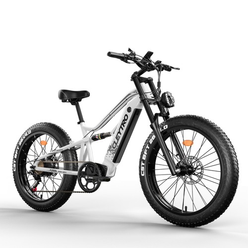 Elektrofahrrad 48v 18ah - elektrofahrrad,
