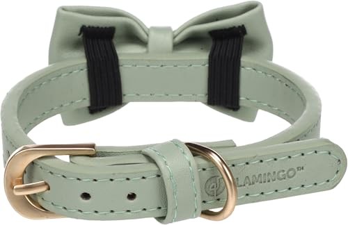Halsband leder mintgrün s - halsband,