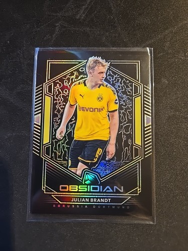 Panini obsidian bvb julian - panini,