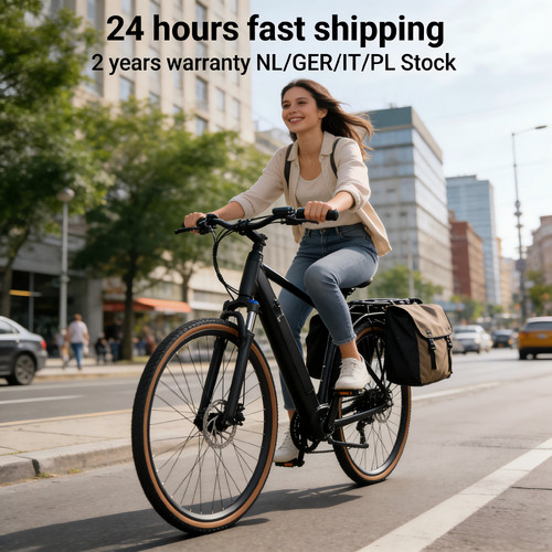 Zoll bike 250w - e-bike,
