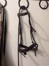 Kavalkade Trense WB Braun