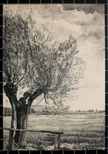 Landschaft Weide Wiese Naturstudie unsigniert Unikat Tusche Zeichnung 20 Jhd