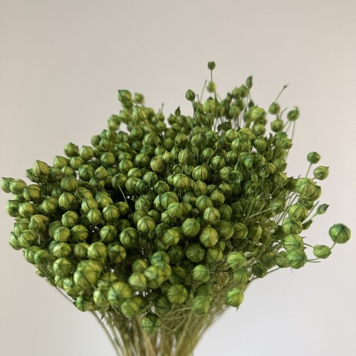 Flachs getrocknet