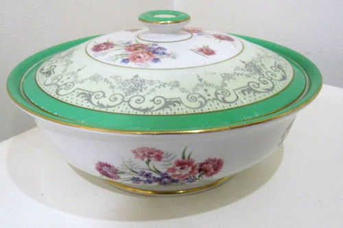 Shelley art deco nelke - art,