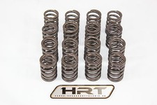 Schrick Ventilfedern Opel 2,0L 16V C20XE Motoren Schrick Nr. 024202065 NEUWARE!!