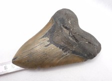 15,1 cm Kantenlänge ! Sehr