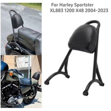 Abnehmbare Passagier Sissy Bar