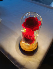 beleuchtete Seiden Rose unter Glaskuppel Deko / Hochzeit