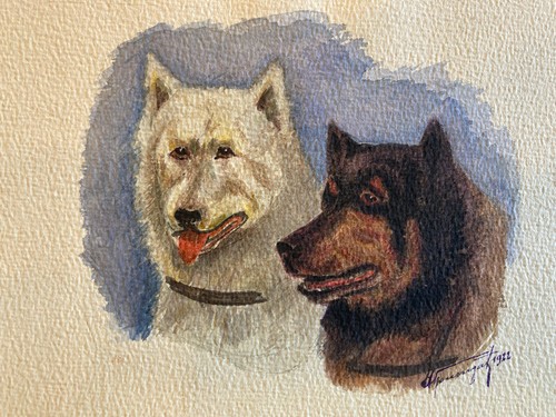 Schöne zeichnung hund - schöne, gouache