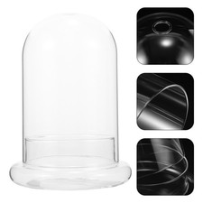 Terrarium flasche glas - terrarium,