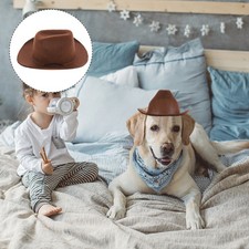 Hund halloween kostüm - halloween,