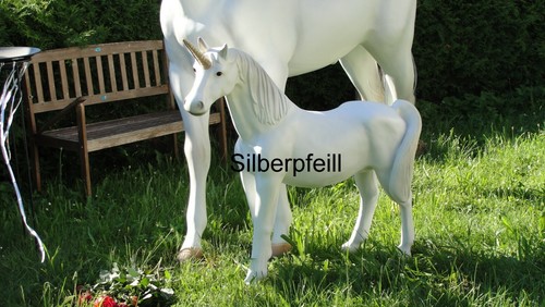 Einhorn pony pferd - pony,