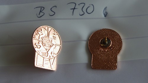 Feuerwehr pin lfv sachsen - feuerwehr,